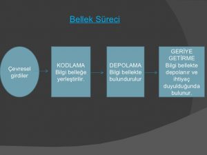 hafıza nedir